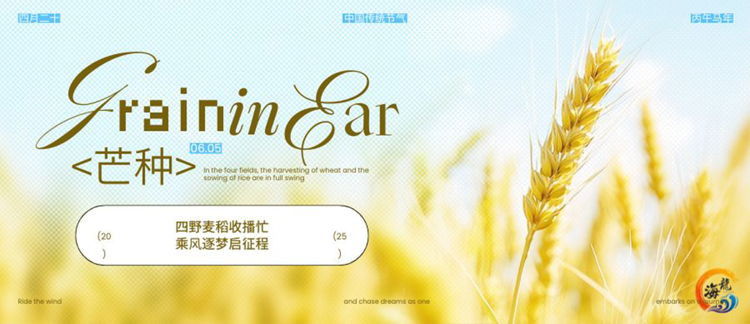 二十四節(jié)氣 | 芒種